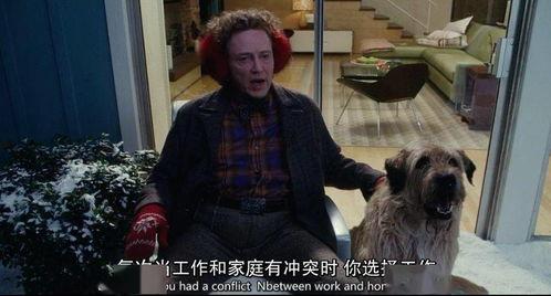 国产一级片儿,揭秘中国电影市场的独特魅力